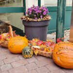 Die Bewohner der Volkssolidarität Schlossresidenz begrüßen den Herbst.