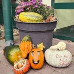 Die Bewohner der Volkssolidarität Schlossresidenz Glaubitz haben Kürbisse bemalt.