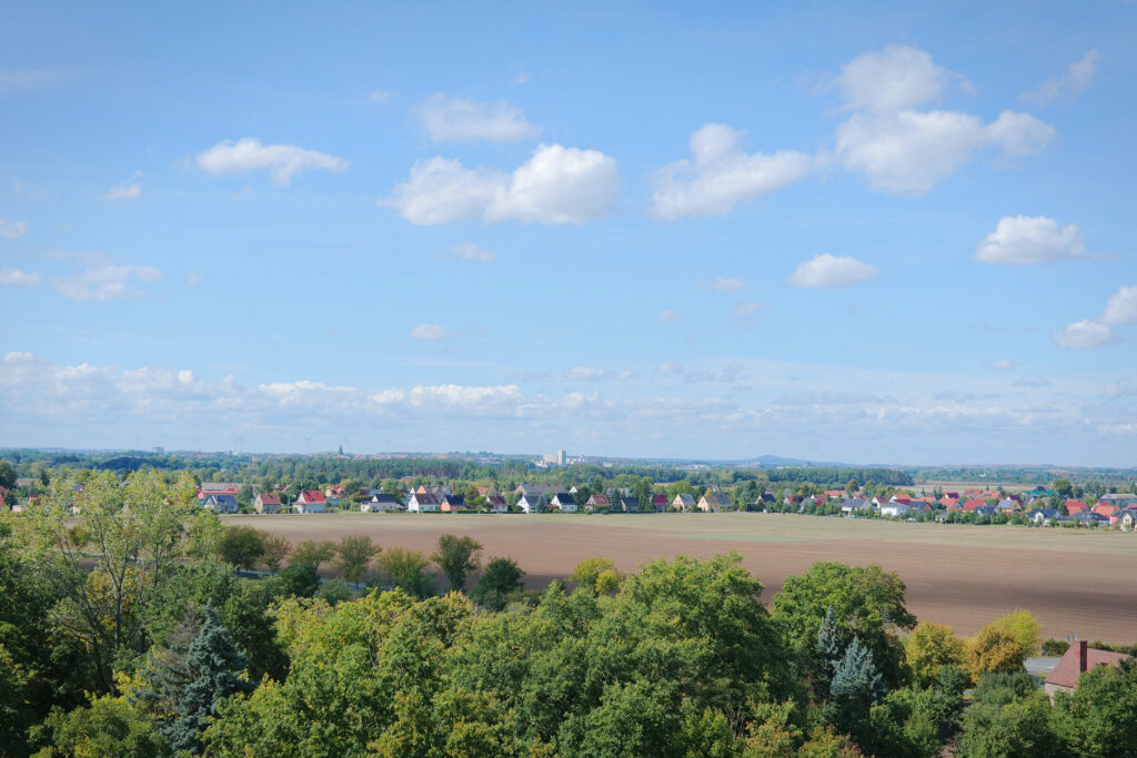 Blick vom Schlossturm nach Riesa