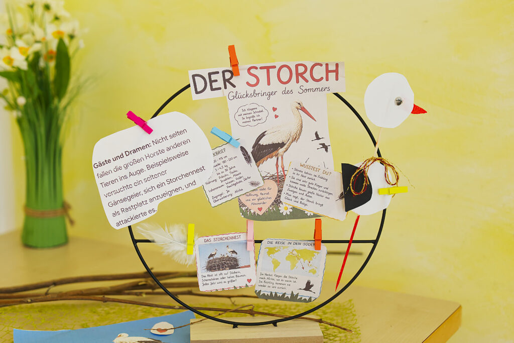Wissensstation: Eckdaten zum Storch
